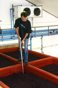 Lynx wines Franschhoek South Africa wine winery