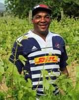 Lynx wines Franschhoek South Africa wine winery